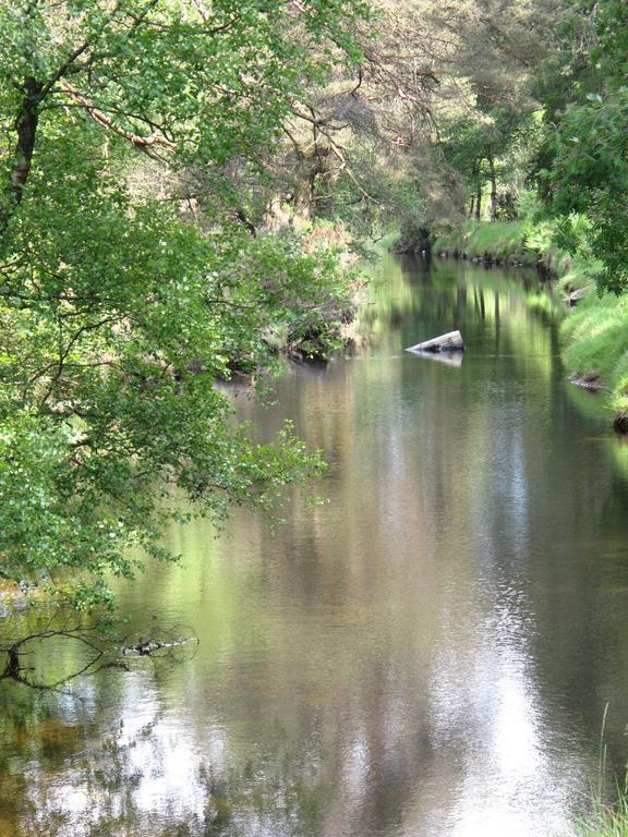 Riversdale House Accommodation Laragh Exteriör bild
