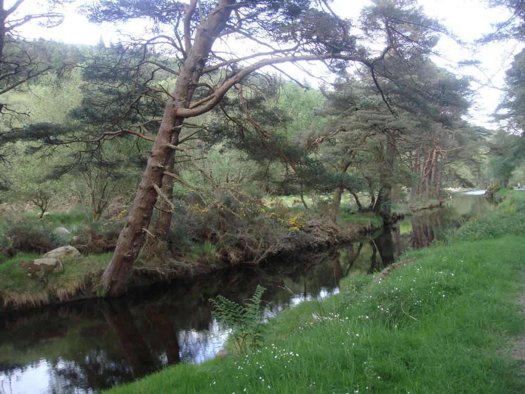 Riversdale House Accommodation Laragh Exteriör bild